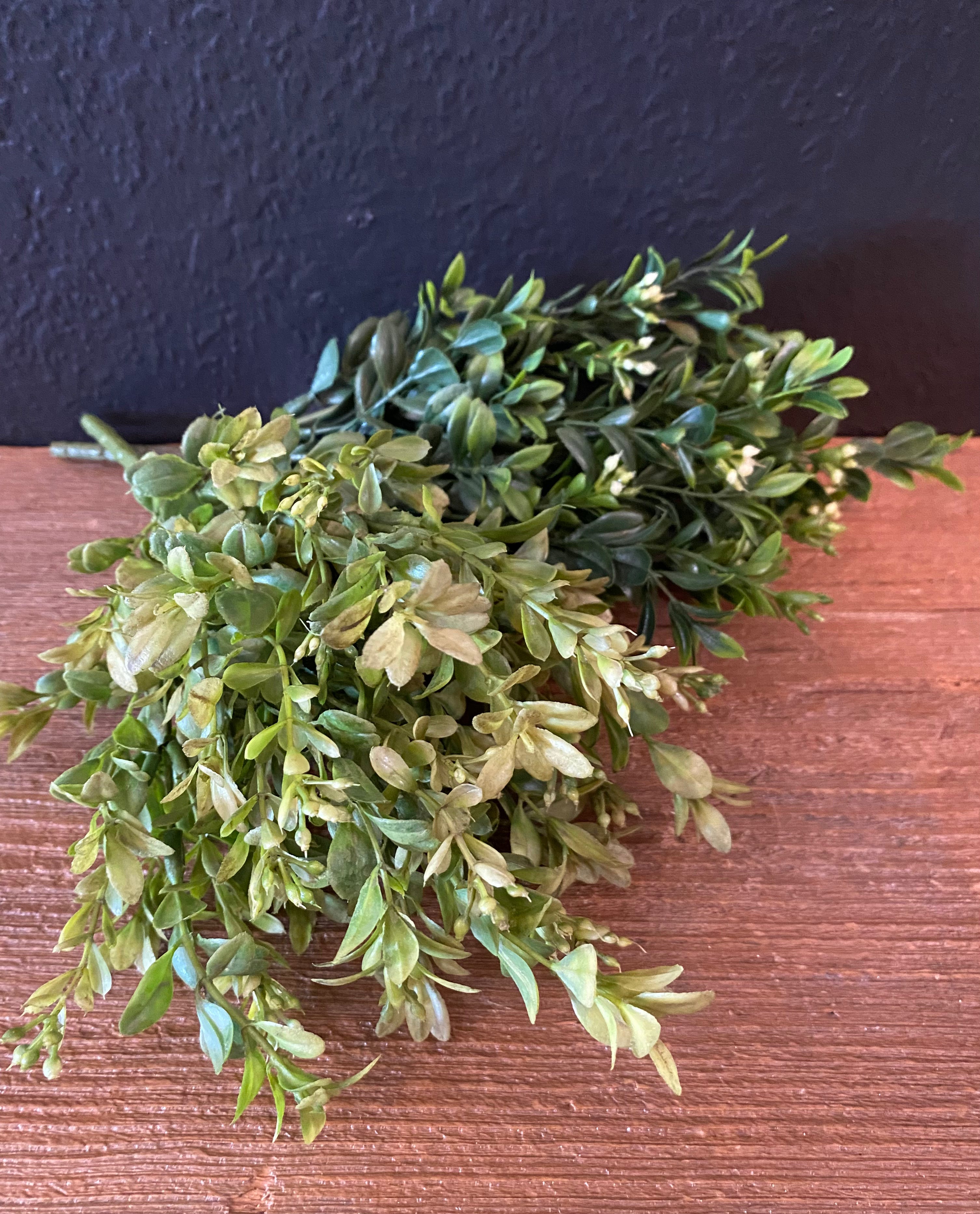 Boxwood Greenery