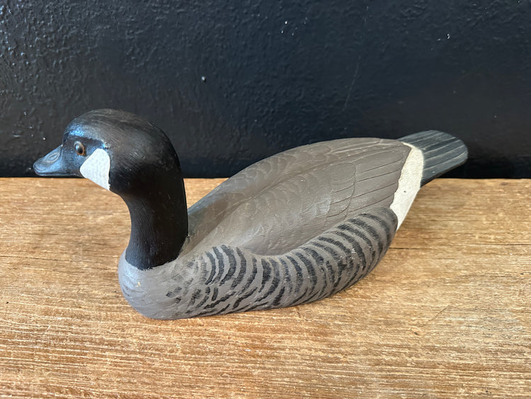 Canadian Goose