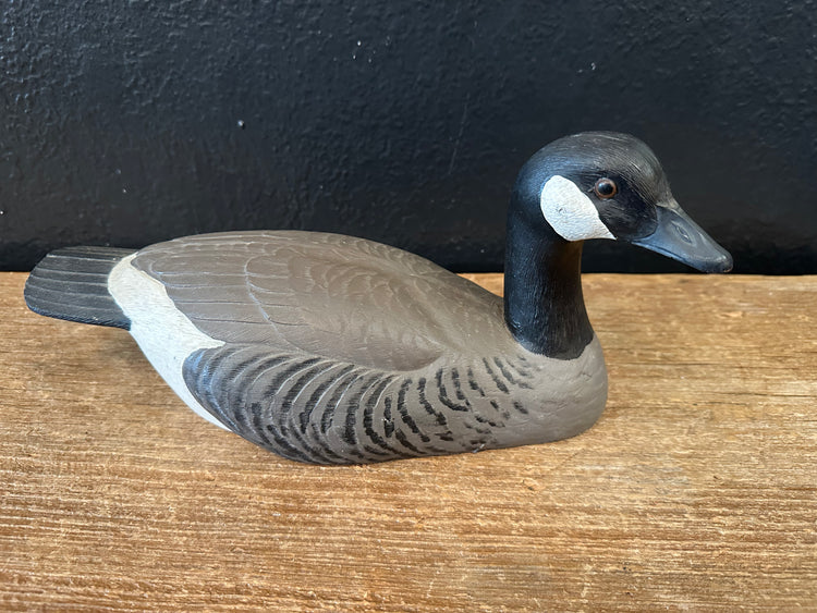 Canadian Goose
