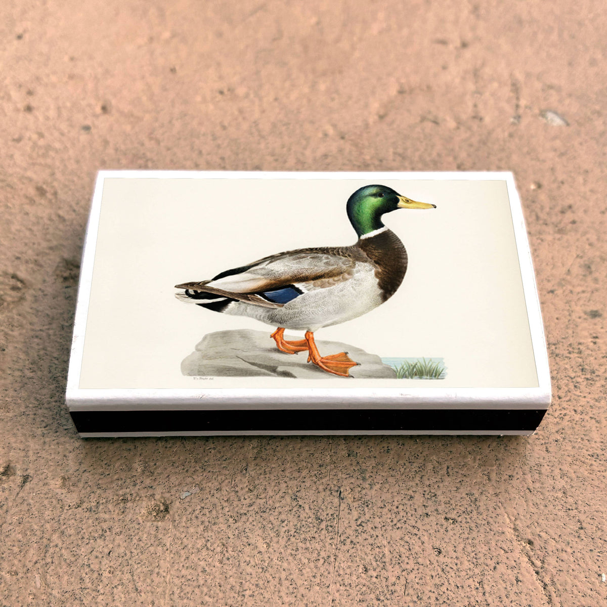 Matches Mallard Duck