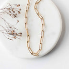 Paperclip Necklace