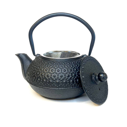 Cast Iron Tea Pot | Black