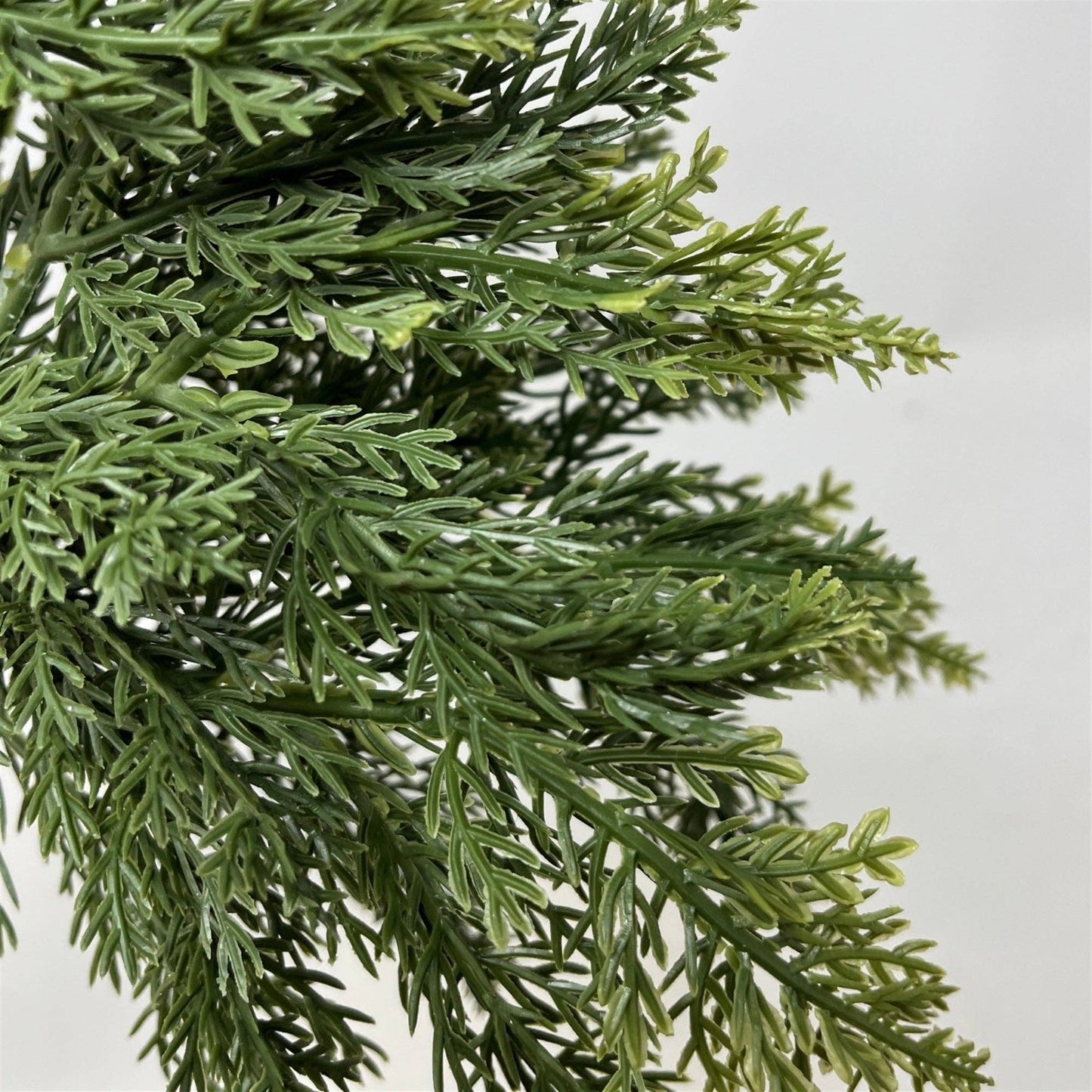 Fresh Touch Cedar Pick