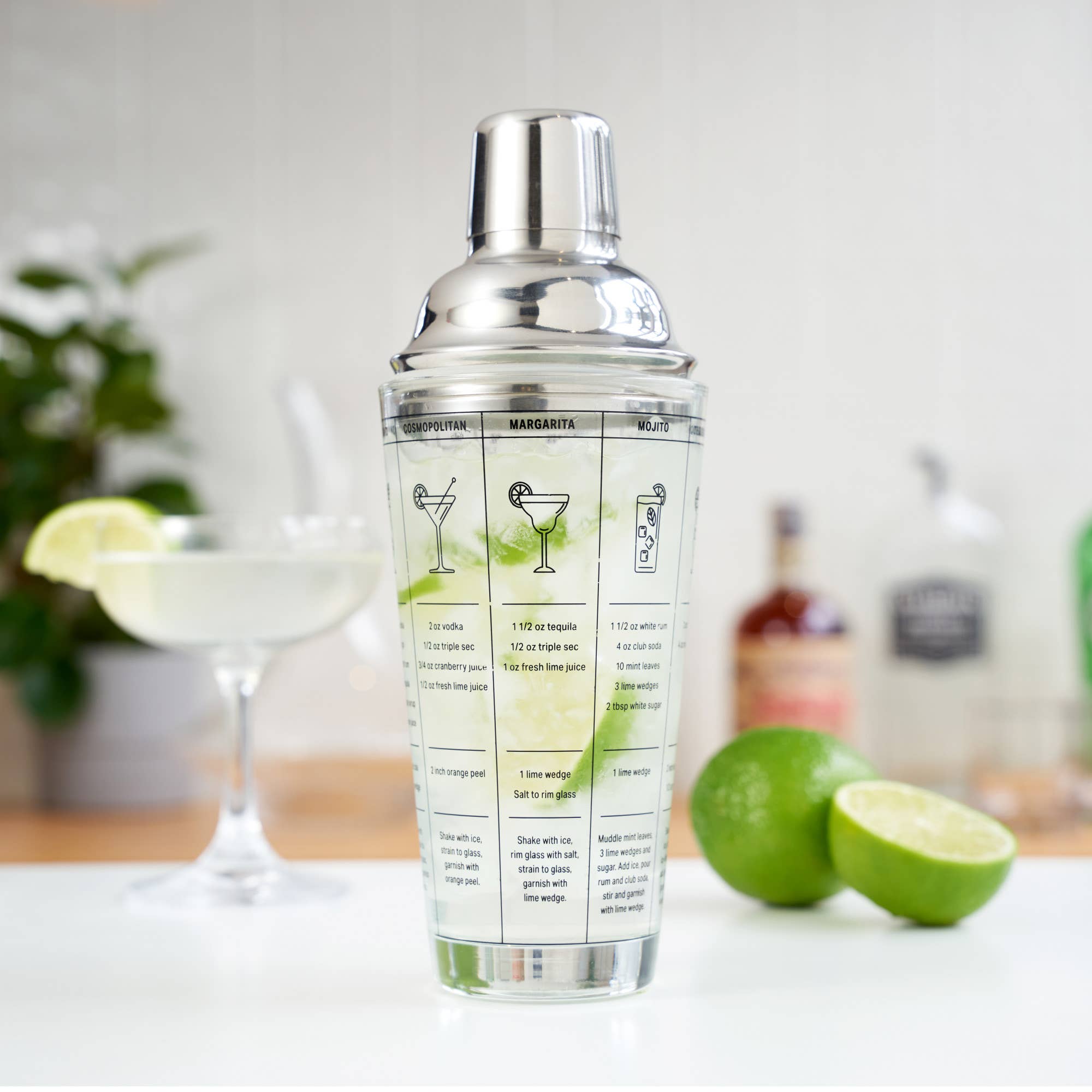 Cocktail Recipe Stainless Steel and Glass Shaker
