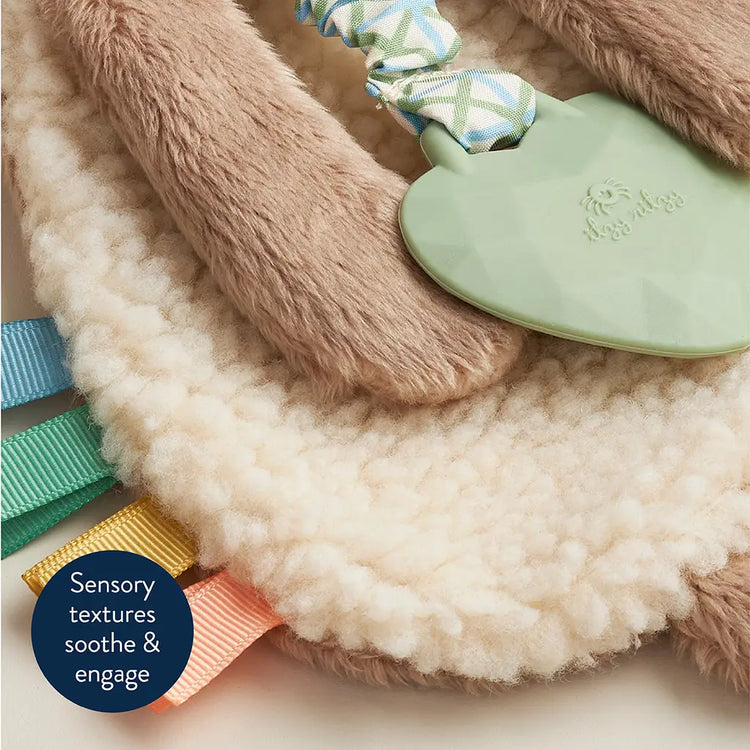 Lovey Plush Crinkle Teether Toy
