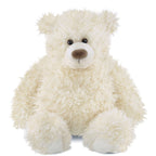 Scruffy the Teddy Bear