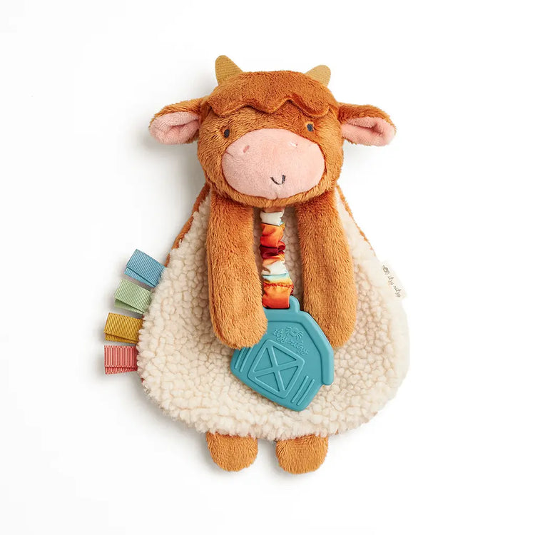 Lovey Plush Crinkle Teether Toy