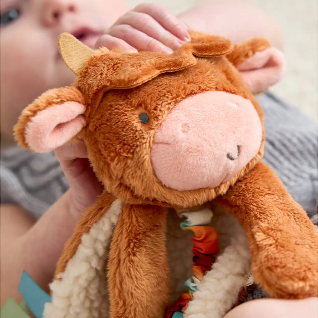 Lovey Plush Crinkle Teether Toy