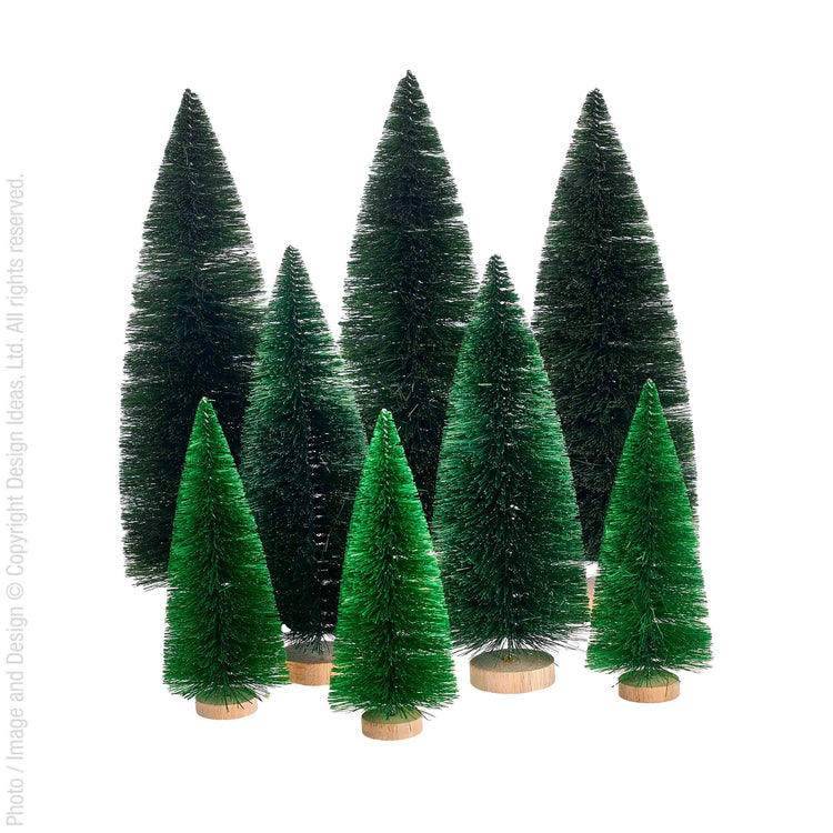 Green Bottle Brush Tree