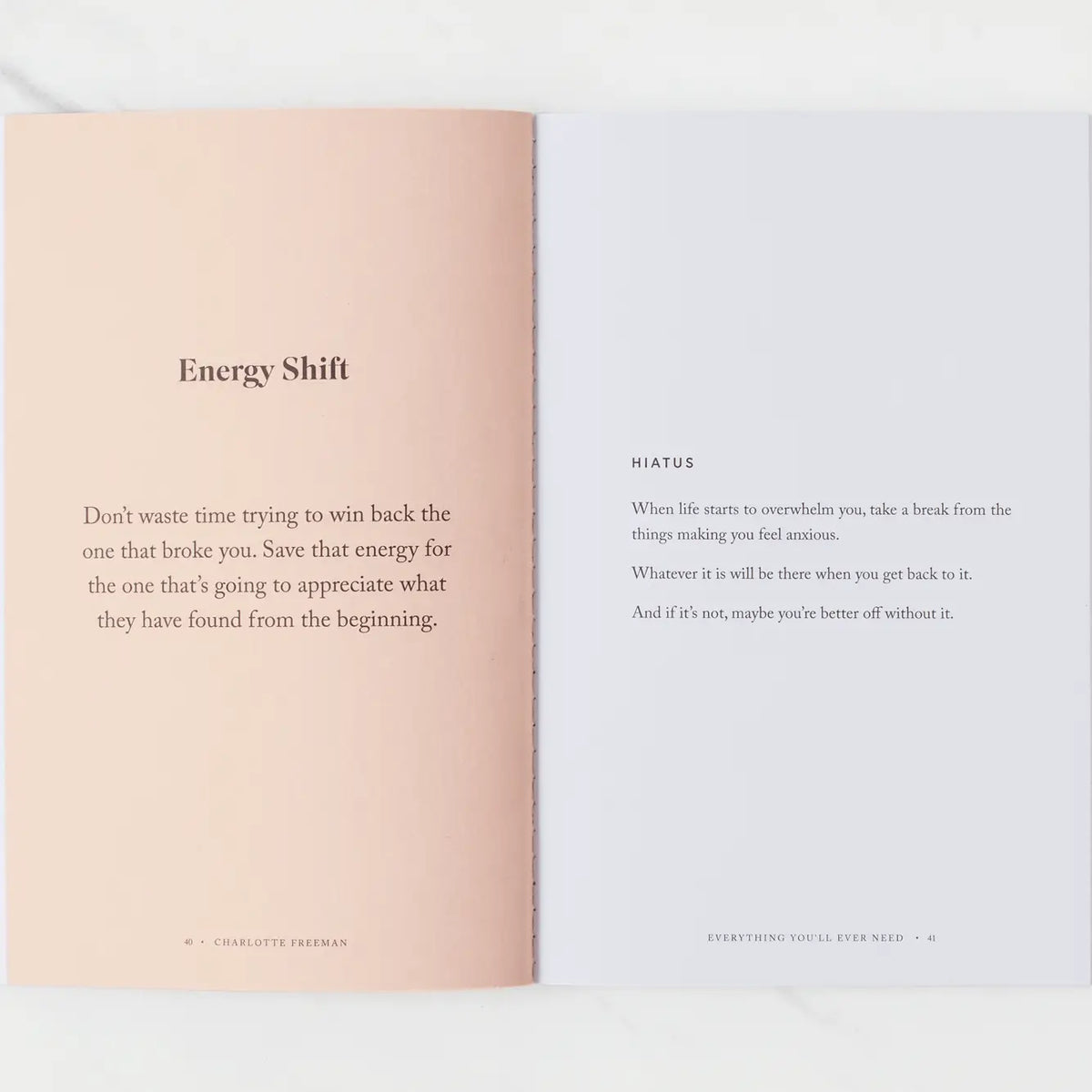Everything You'll Ever Need Book
