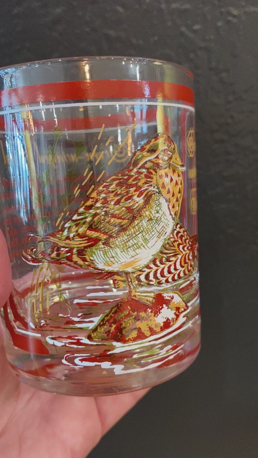 Georges Briard Green-Winged Teal Duck Glasses | Set of 6