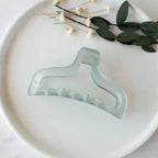 Matte Claw Clip