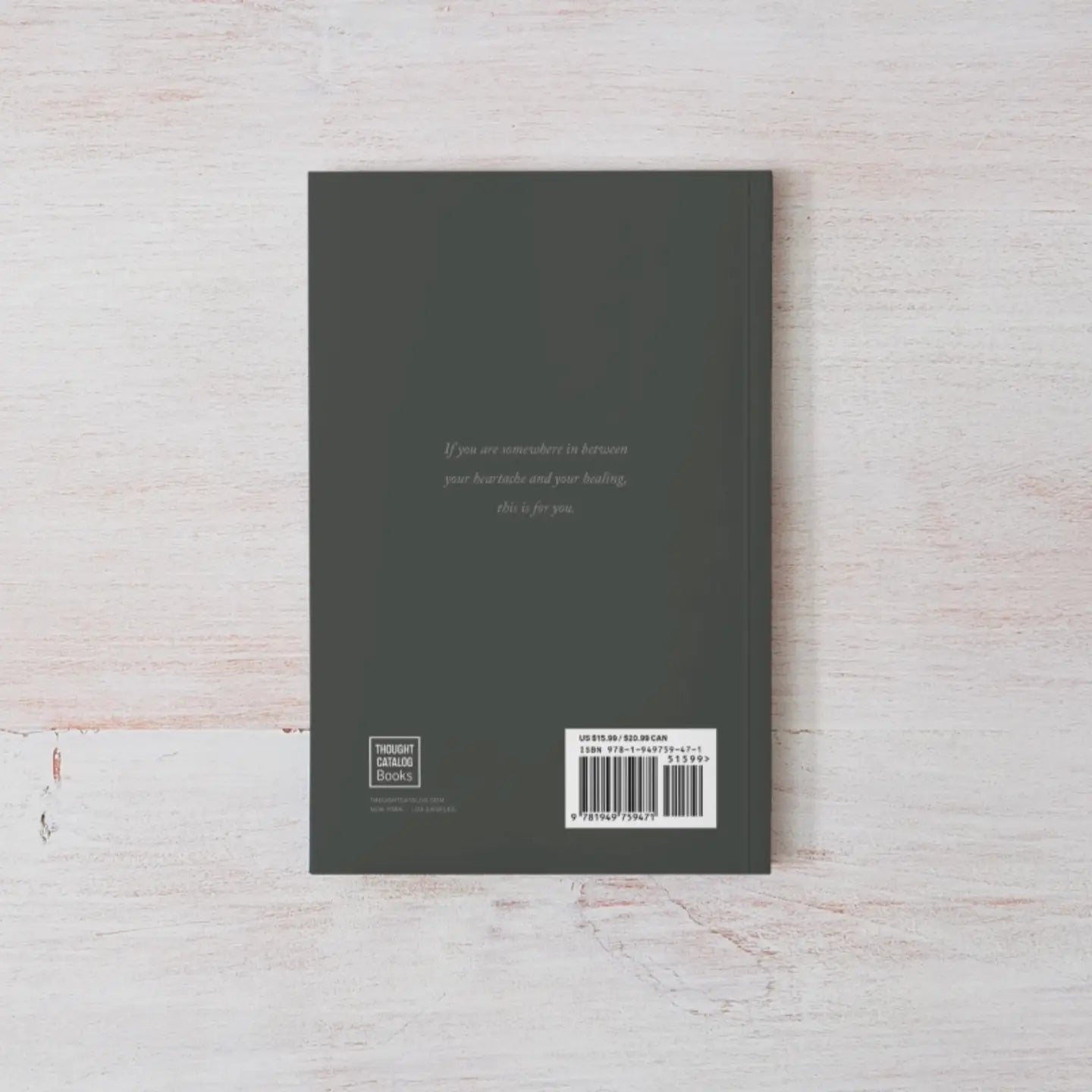 Somewhere In Between Book